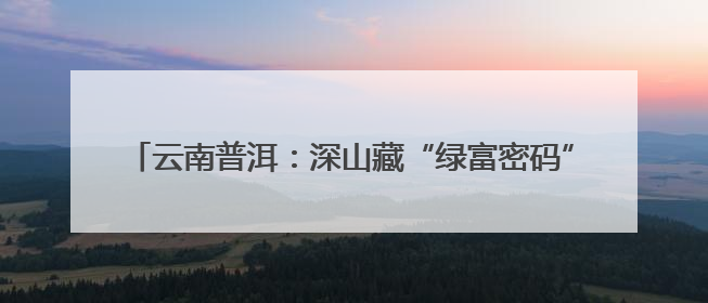 云南普洱：深山藏“绿富密码” 林下中药材长出致富新图景