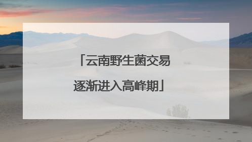 云南野生菌交易逐渐进入高峰期