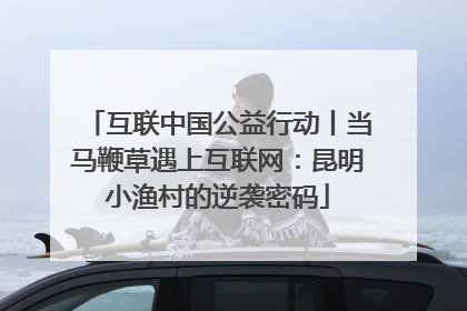 互联中国公益行动丨当马鞭草遇上互联网：昆明小渔村的逆袭密码
