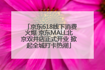 京东618线下消费火爆 京东MALL北京双井店正式开业 掀起全城打卡热潮
