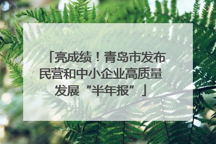 亮成绩！青岛市发布民营和中小企业高质量发展“半年报”