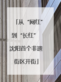 从“网红”到“长红” 沈阳首个非遗街区开街