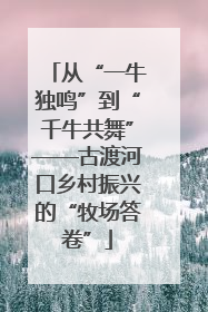 从“一牛独鸣”到“千牛共舞”——古渡河口乡村振兴的“牧场答卷”