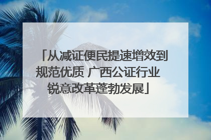 从减证便民提速增效到规范优质 广西公证行业锐意改革蓬勃发展