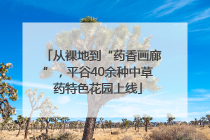 从裸地到“药香画廊”，平谷40余种中草药特色花园上线