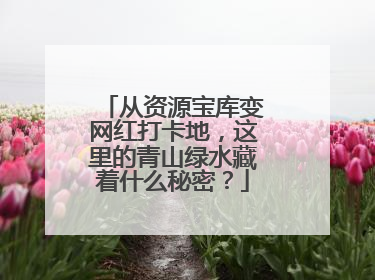 从资源宝库变网红打卡地，这里的青山绿水藏着什么秘密？