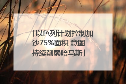以色列计划控制加沙75%面积 意图持续削弱哈马斯