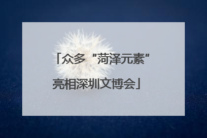 众多“菏泽元素”亮相深圳文博会