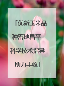 优新玉米品种落地昌平 科学技术指导助力丰收
