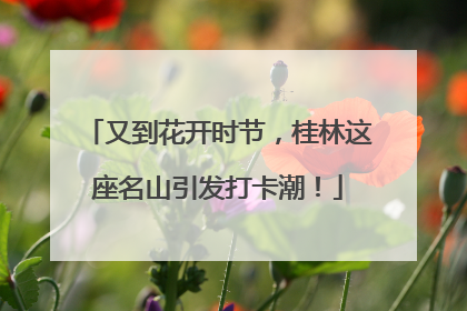 又到花开时节，桂林这座名山引发打卡潮！