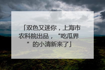 双色又迷你，上海市农科院出品，“吃瓜界”的小清新来了