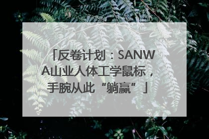 反卷计划：SANWA山业人体工学鼠标，手腕从此“躺赢”