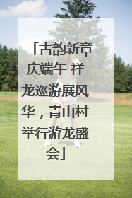 古韵新章庆端午 祥龙巡游展风华，青山村举行游龙盛会