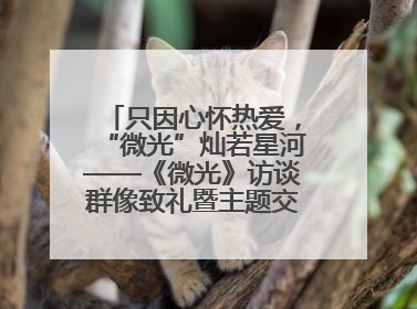 只因心怀热爱，“微光”灿若星河——《微光》访谈群像致礼暨主题交流活动启动