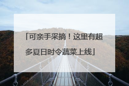 可亲手采摘！这里有超多夏日时令蔬菜上线