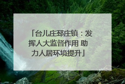 台儿庄邳庄镇：发挥人大监督作用 助力人居环境提升