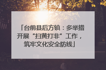 台前县后方镇：多举措开展“扫黄打非”工作，筑牢文化安全防线