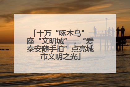 十万“啄木鸟”一座“文明城”，“爱泰安随手拍”点亮城市文明之光