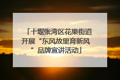 十堰张湾区花果街道开展“东风故里育新风”品牌宣讲活动