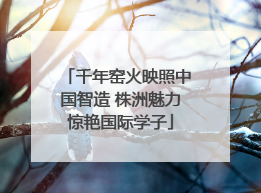 千年窑火映照中国智造 株洲魅力惊艳国际学子
