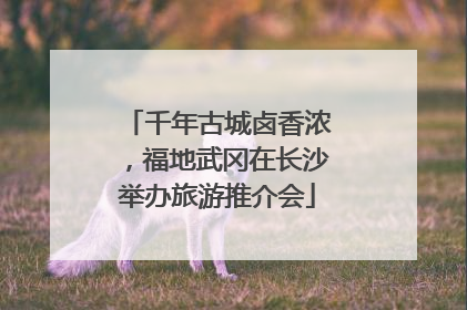 千年古城卤香浓，福地武冈在长沙举办旅游推介会