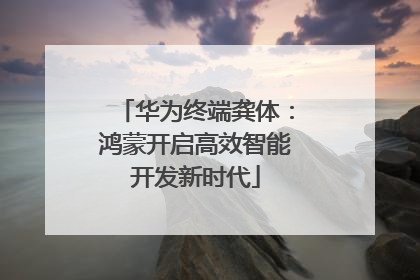 华为终端龚体：鸿蒙开启高效智能开发新时代