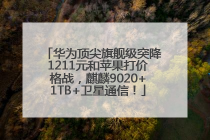 华为顶尖旗舰级突降1211元和苹果打价格战，麒麟9020+1TB+卫星通信！