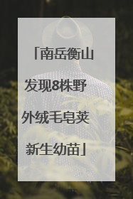南岳衡山发现8株野外绒毛皂荚新生幼苗
