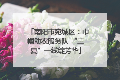 南阳市宛城区：巾帼助农服务队 “三夏”一线绽芳华