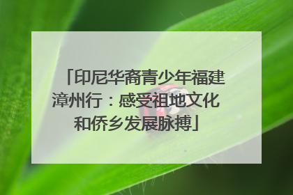 印尼华裔青少年福建漳州行：感受祖地文化和侨乡发展脉搏