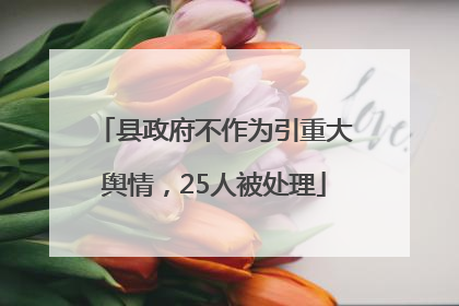 县政府不作为引重大舆情，25人被处理