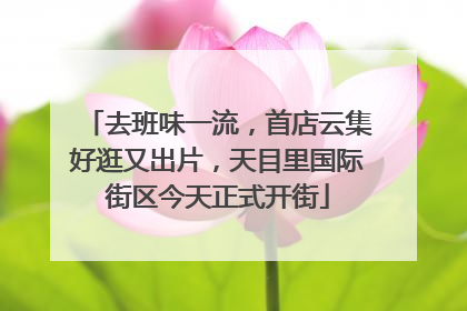 去班味一流，首店云集好逛又出片，天目里国际街区今天正式开街