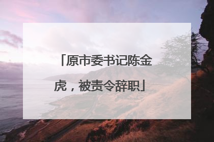 原市委书记陈金虎，被责令辞职