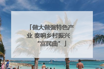 做大做强特色产业 奏响乡村振兴“富民曲”