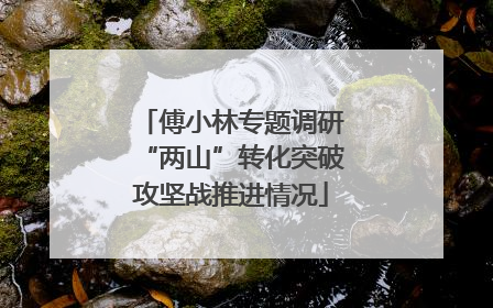 傅小林专题调研“两山”转化突破攻坚战推进情况