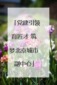 党建引领育匠才 筑梦北京城市副中心
