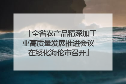 全省农产品精深加工业高质量发展推进会议在绥化海伦市召开