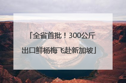 全省首批！300公斤出口鲜杨梅飞赴新加坡