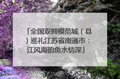 全国双拥模范城（县）巡礼江苏省南通市：江风海韵鱼水情深