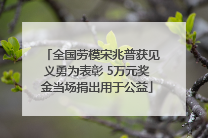 全国劳模宋兆普获见义勇为表彰 5万元奖金当场捐出用于公益