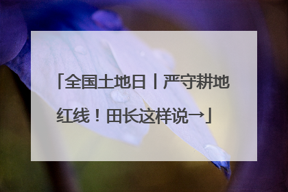全国土地日丨严守耕地红线！田长这样说→
