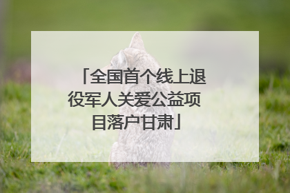 全国首个线上退役军人关爱公益项目落户甘肃