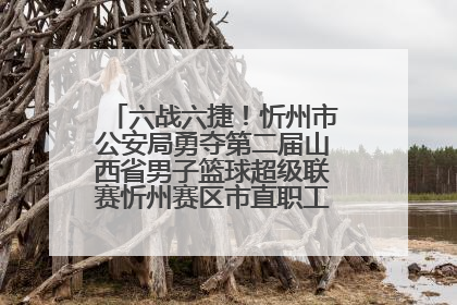 六战六捷！忻州市公安局勇夺第二届山西省男子篮球超级联赛忻州赛区市直职工组比赛冠军