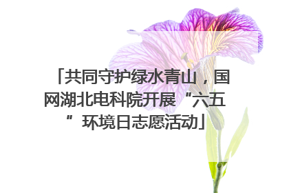 共同守护绿水青山，国网湖北电科院开展“六五”环境日志愿活动
