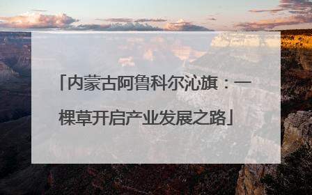内蒙古阿鲁科尔沁旗：一棵草开启产业发展之路