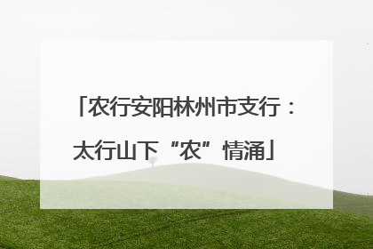 农行安阳林州市支行：太行山下“农”情涌
