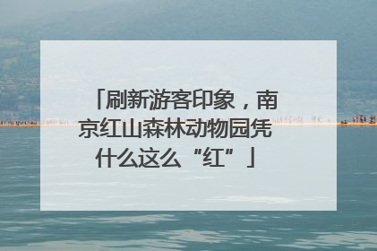 刷新游客印象，南京红山森林动物园凭什么这么“红”