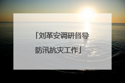 刘革安调研督导防汛抗灾工作