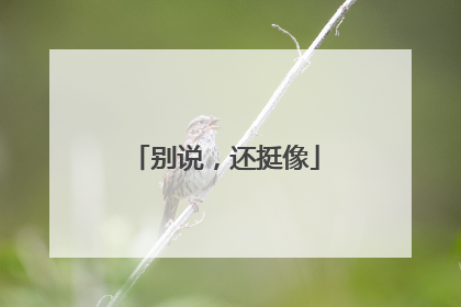 别说，还挺像