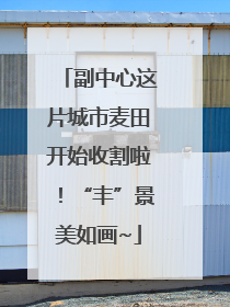 副中心这片城市麦田开始收割啦！“丰”景美如画~